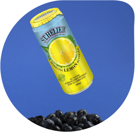 Topsyl_2