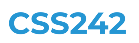 LOGO_CSS242