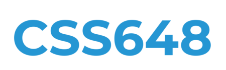 LOGO_CSS648